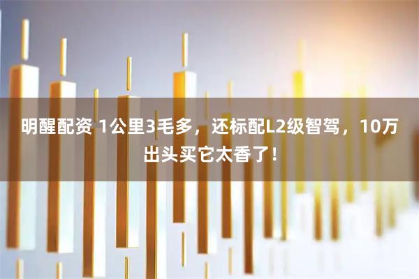 明醒配资 1公里3毛多，还标配L2级智驾，10万出头买它太香了！
