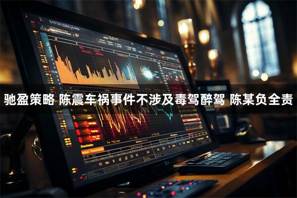 驰盈策略 陈震车祸事件不涉及毒驾醉驾 陈某负全责