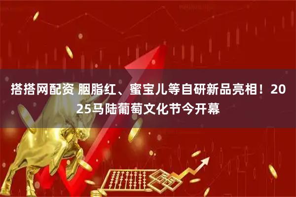搭搭网配资 胭脂红、蜜宝儿等自研新品亮相！2025马陆葡萄文化节今开幕
